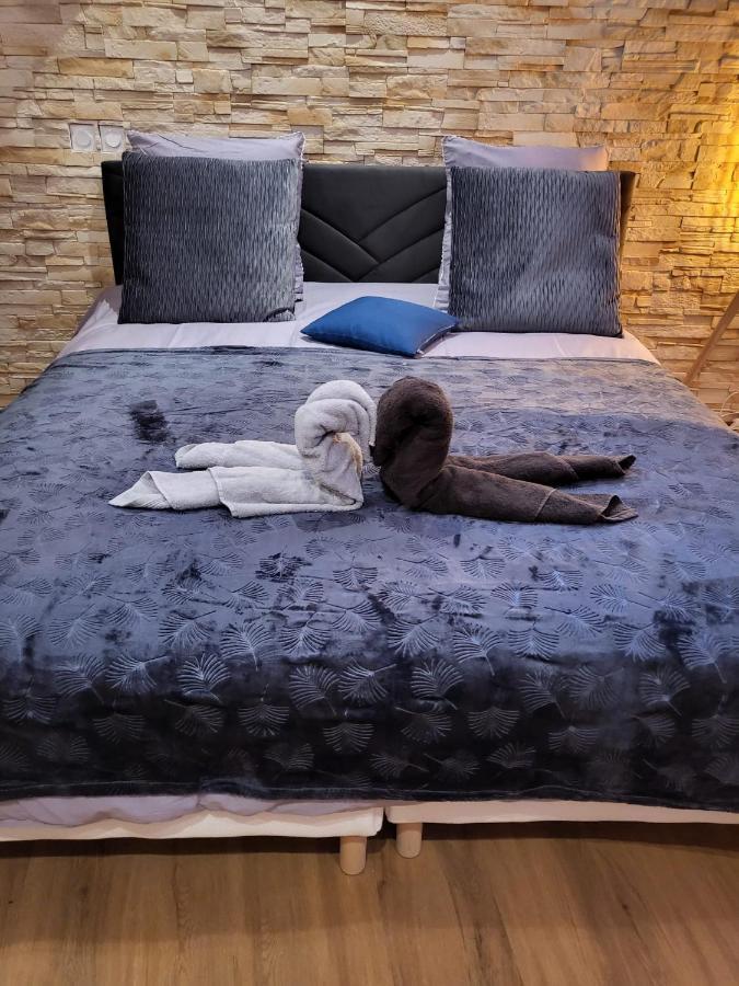 Le Spa De La Cathedrale - Jacuzzi - Sauna - Champagne - Netflix - Wifi Troyes Exteriör bild