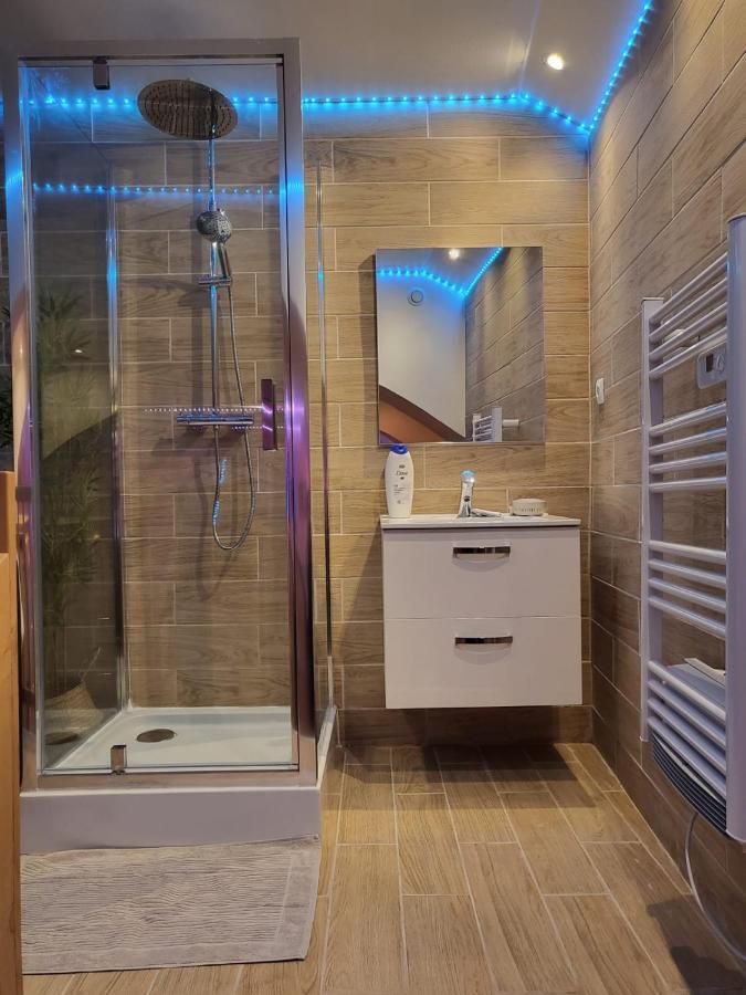 Le Spa De La Cathedrale - Jacuzzi - Sauna - Champagne - Netflix - Wifi Troyes Exteriör bild