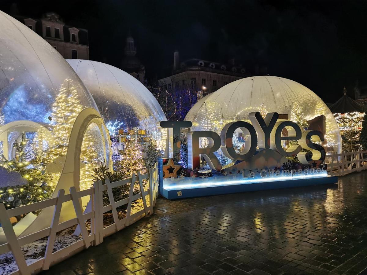 Le Spa De La Cathedrale - Jacuzzi - Sauna - Champagne - Netflix - Wifi Troyes Exteriör bild